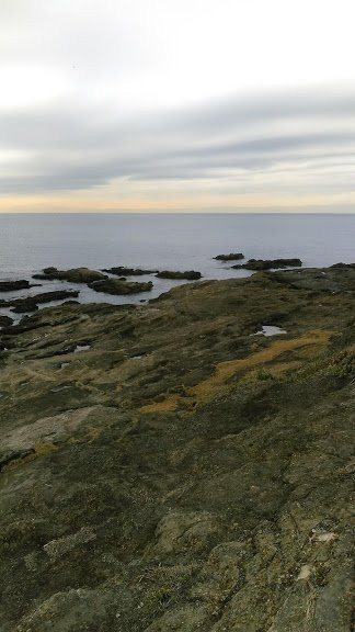 Kurosakinohana-三浦市必去景点