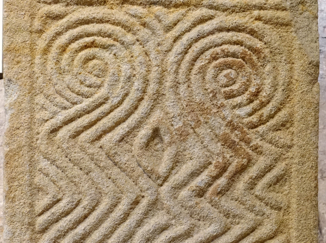 Museu d'Arqueologia de Catalunya景点图片