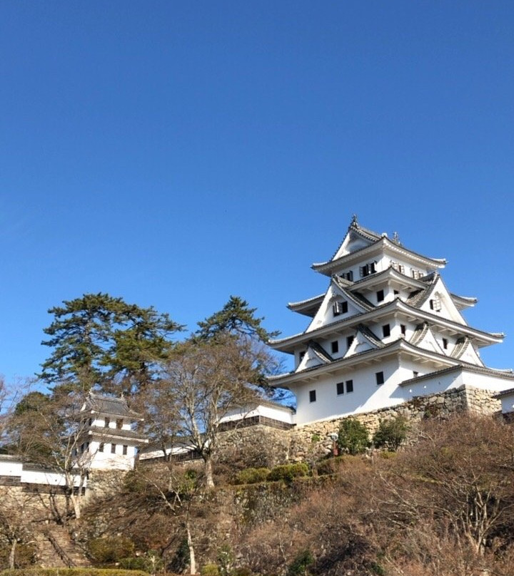 Gujo Hachiman Castle景点图片