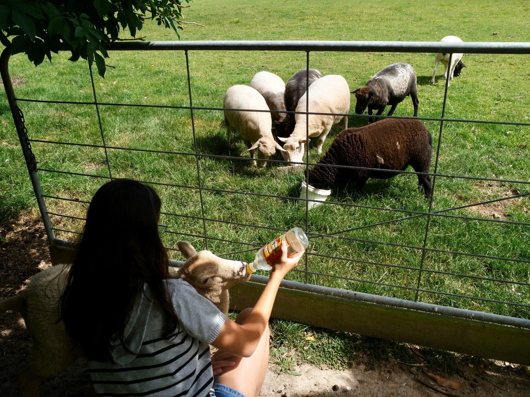 Country Lane Homestay主图