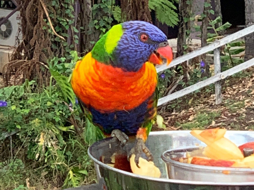 塔姆柏林山住宿加早餐酒店主图