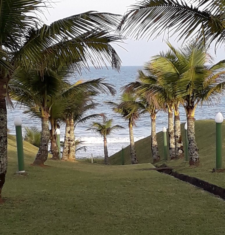 Flamboyant Hotel主图