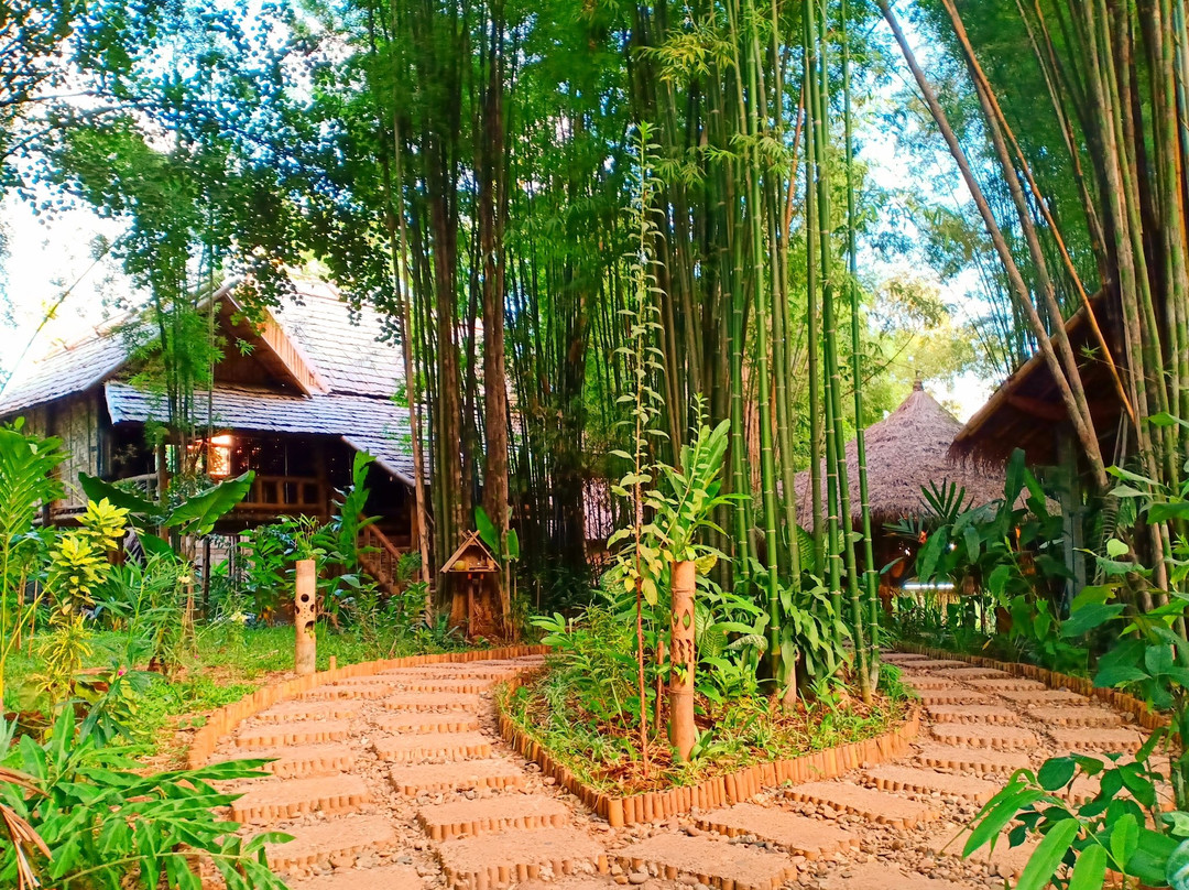 Ban Pho Touane餐馆和美食-Luang Prabang Bio Bamboo