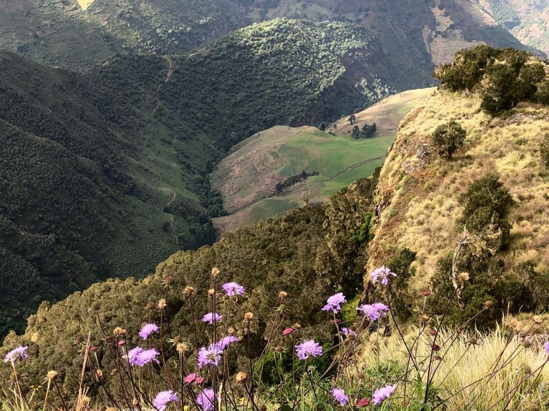 Trekking Ethiopia Tours - Day Tours景点图片