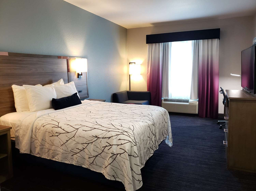 Best Western Plus San Antonio East Inn & Suites主图