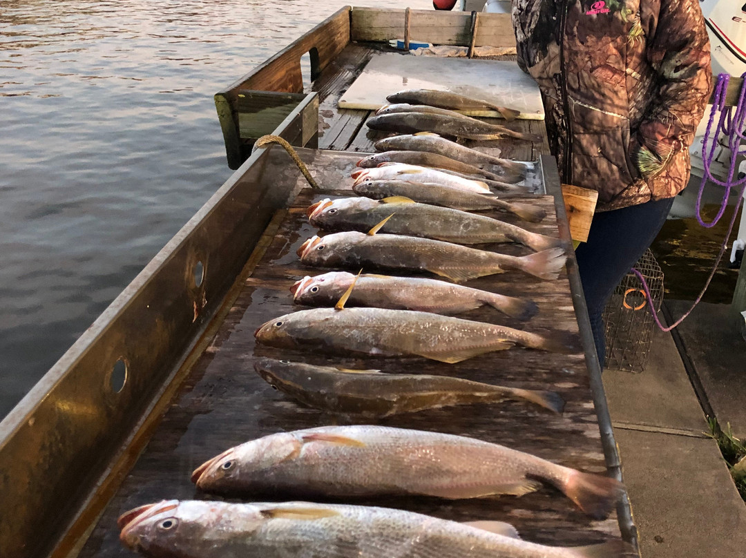 Reel Threel Charters-Freeport必去景点