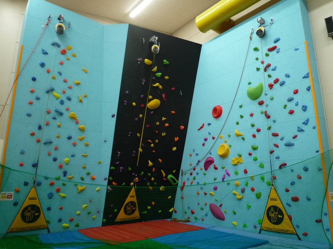 Toyokoro General Gymnastic Hall-丰顷町必去景点