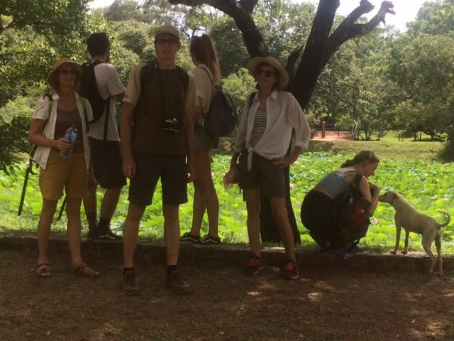 Arunalu Sl Driver Tours-科伦坡必去景点