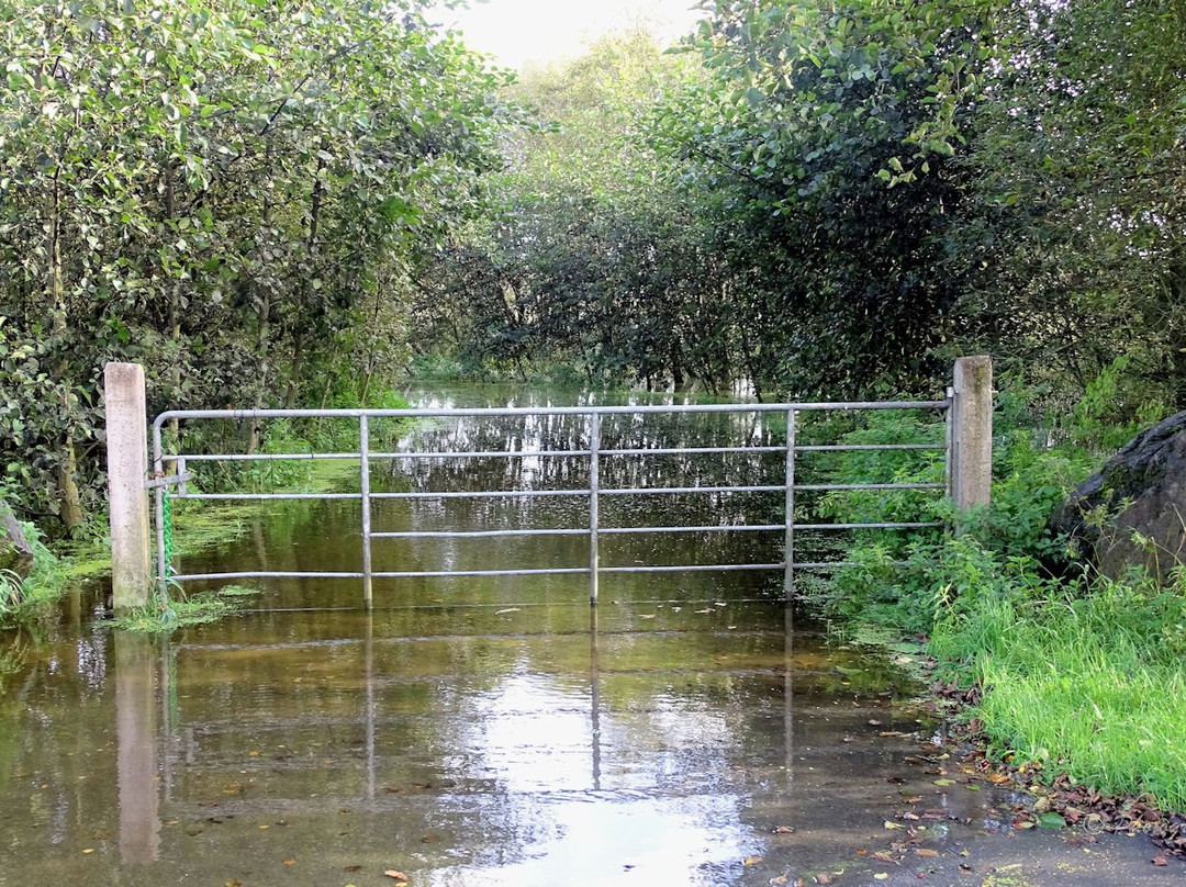 Lough Muckno Leisure Park-Monaghan必去景点