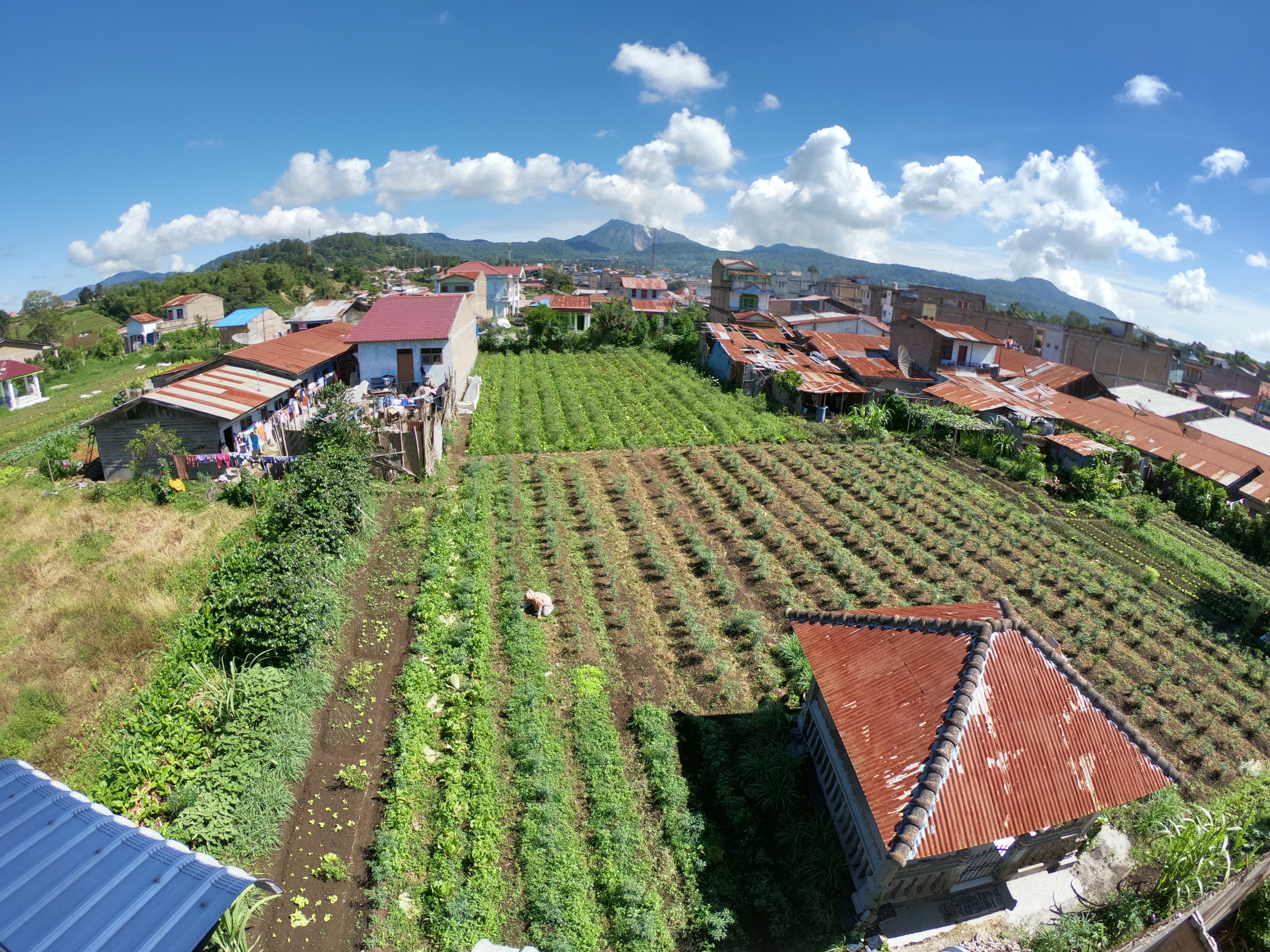 Berastagi Nachelle Homestay-酒店景观