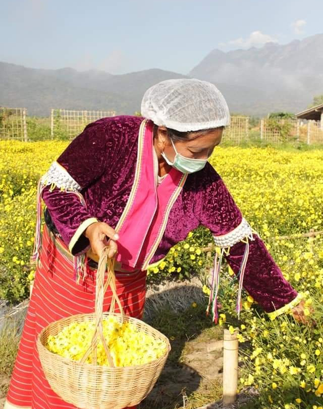 Suan Buachompoo Na Jomkiree-清佬必去景点