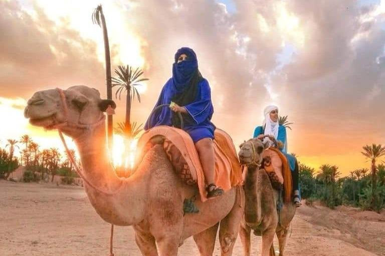 Prestige Tours-非斯必去景点