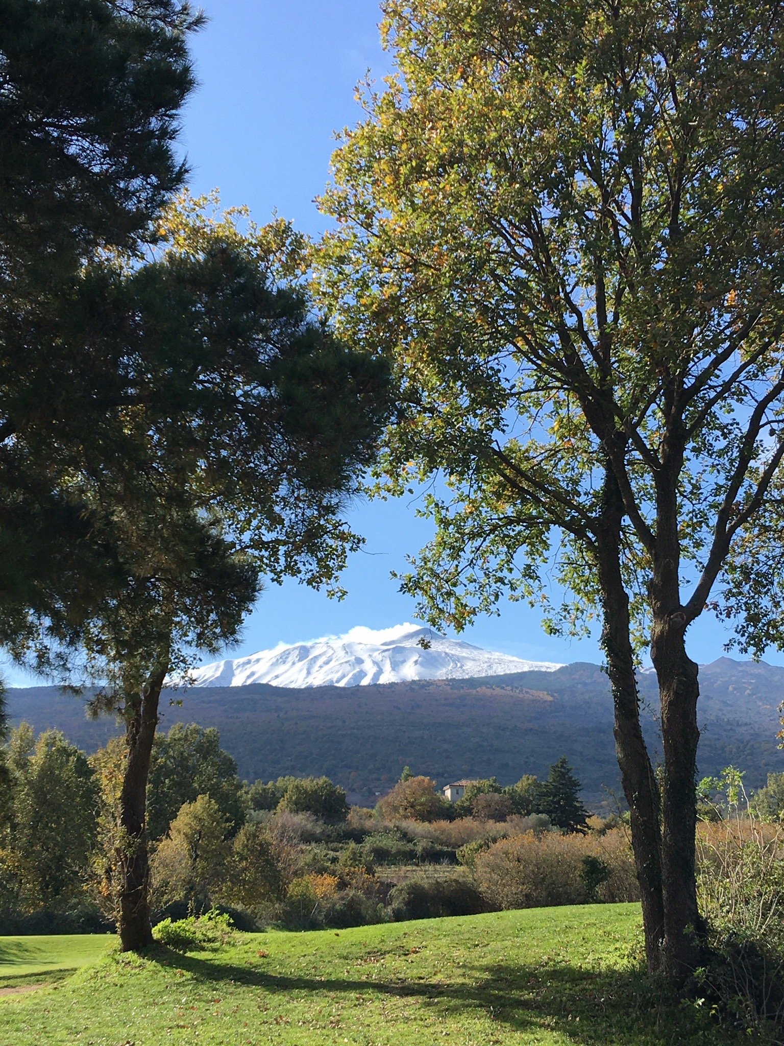 Il Nido dell'Etna-官方