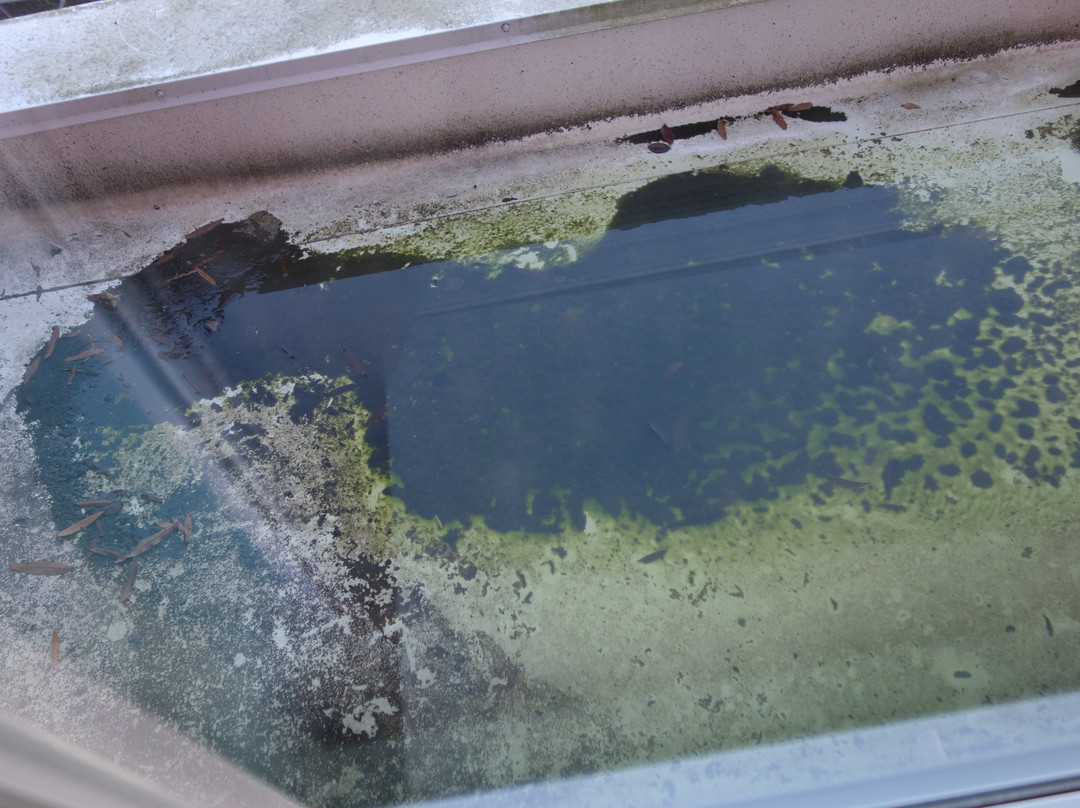 Home2 Suites by Hilton DuPont主图