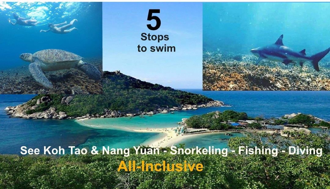 Diamond Tour - Day Tours-涛岛必去景点