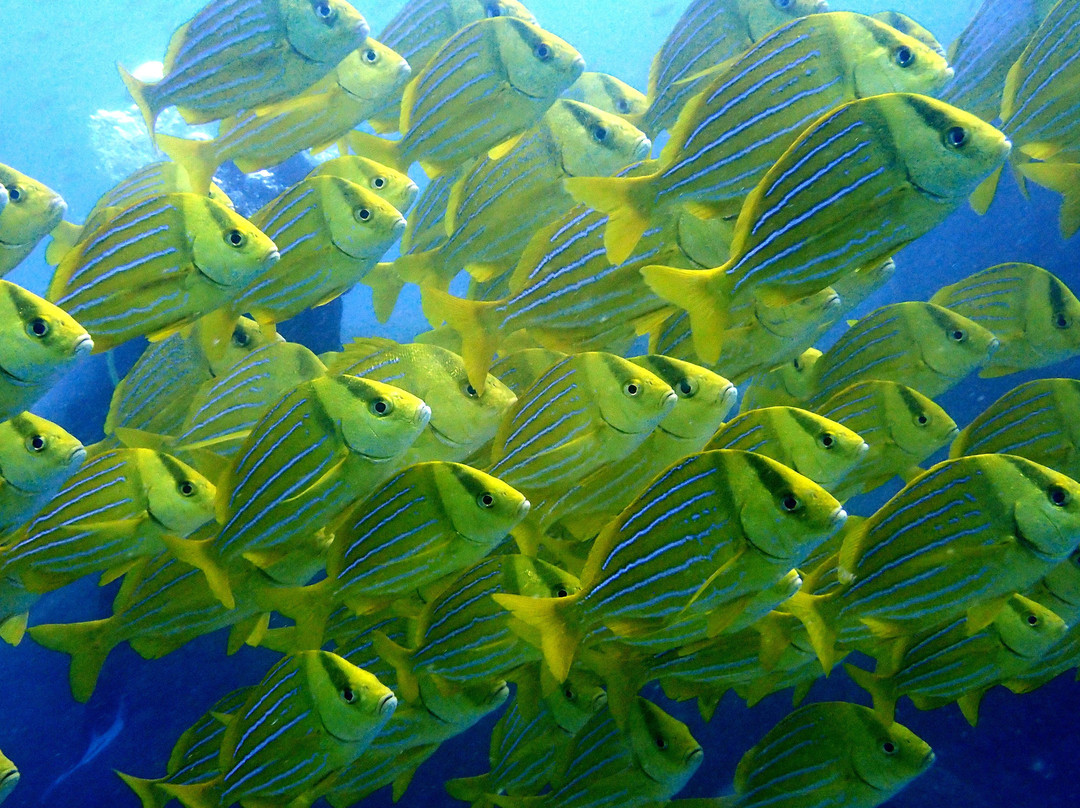 Mar y Sierra-Cabo Pulmo必去景点