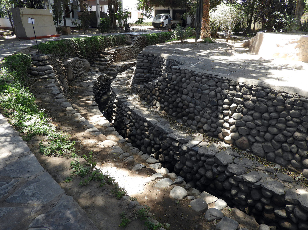 Didactic Museum Antonini (Museo Antonini)-纳斯卡必去景点