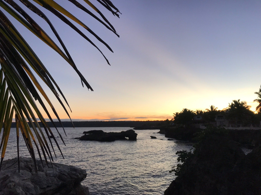 Campito Loving主图