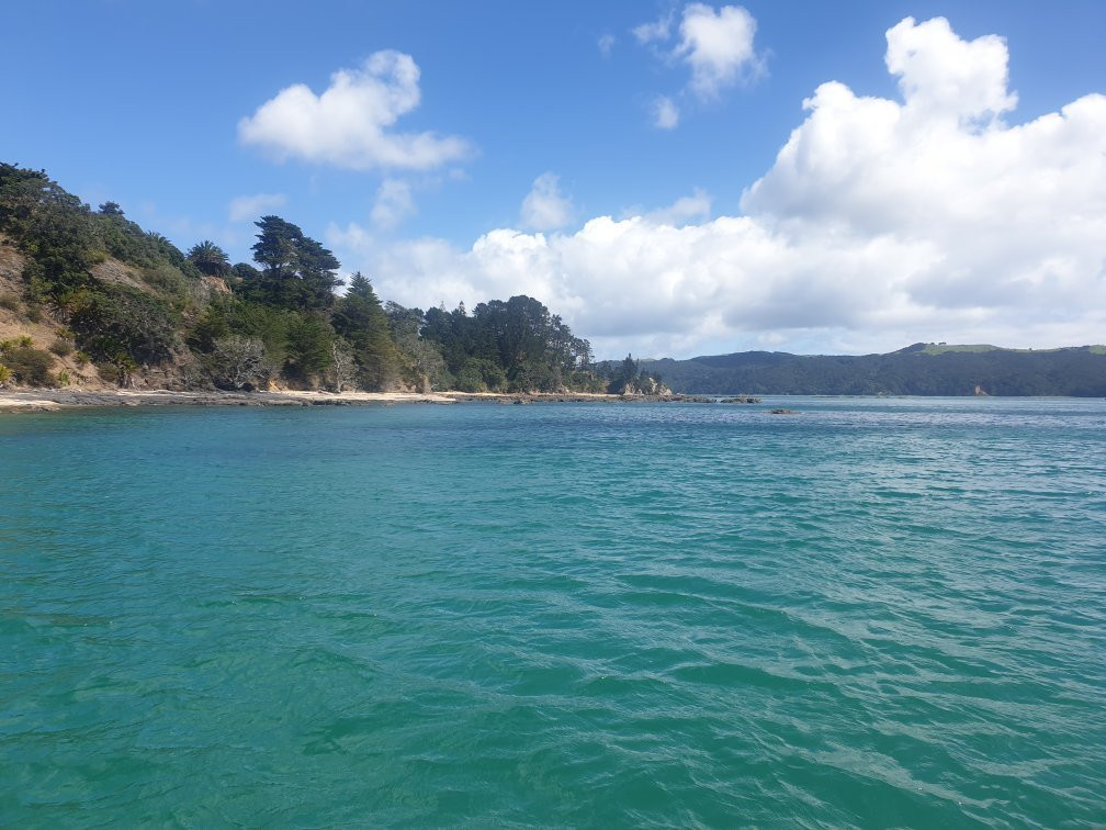 Auckland Sea Shuttles景点图片