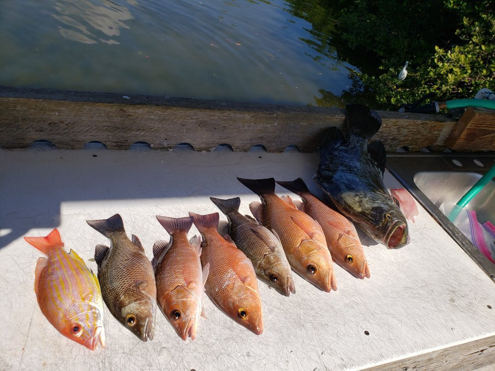 Salty Jaw Fishing Charters-Boca Grande必去景点