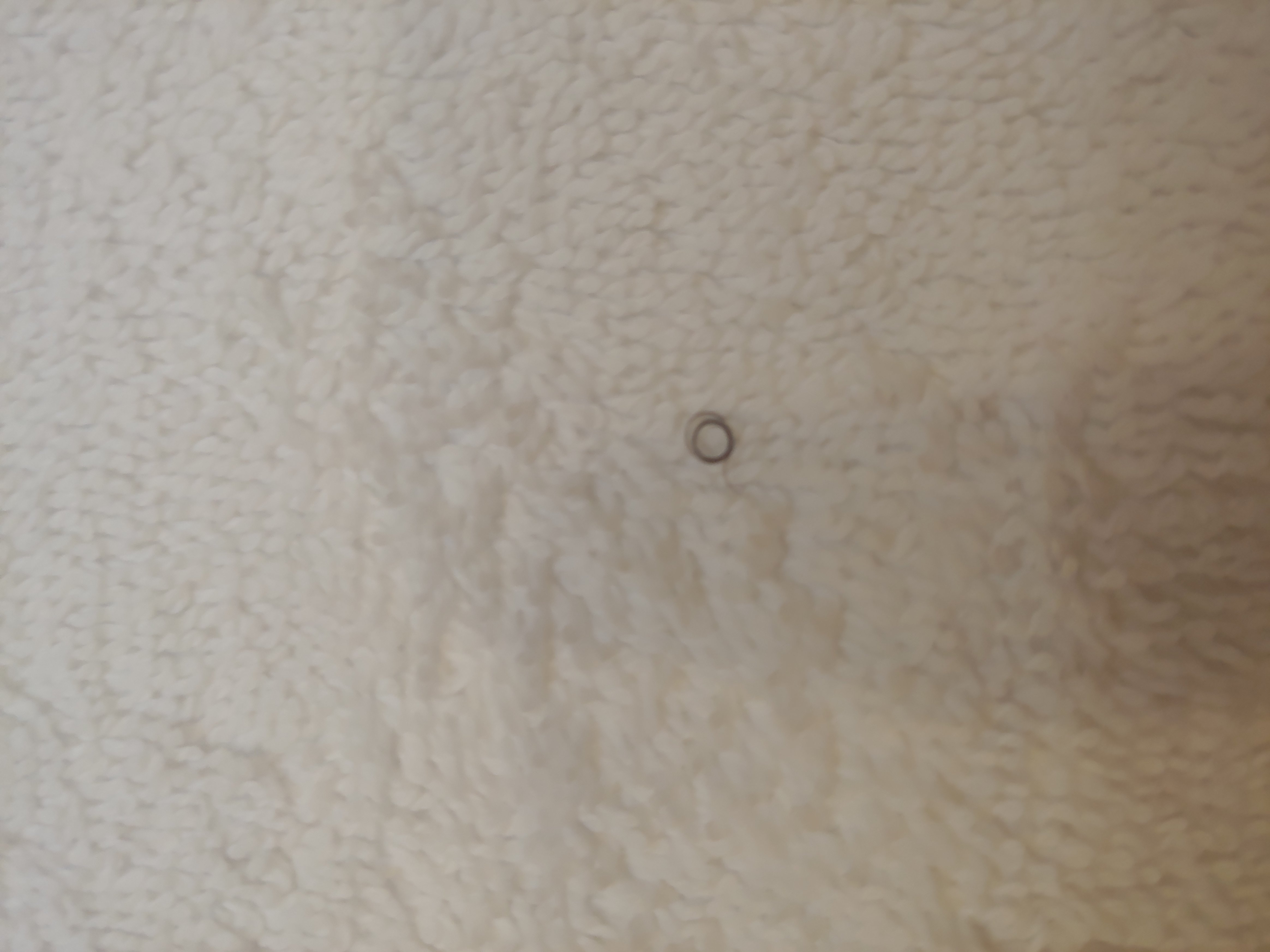 Holiday Inn Express & Suites Charlotte Southeast - Matthews by IHG-浴室