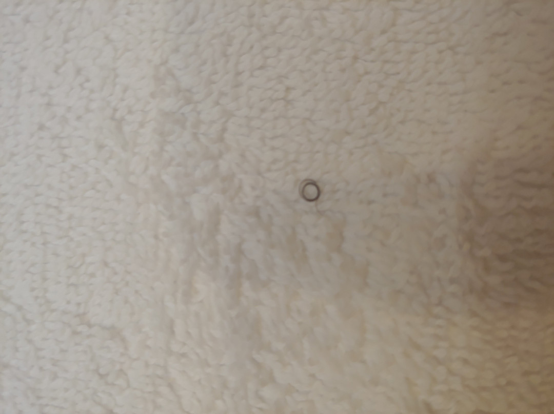 Holiday Inn Express & Suites Charlotte Southeast - Matthews by IHG主图