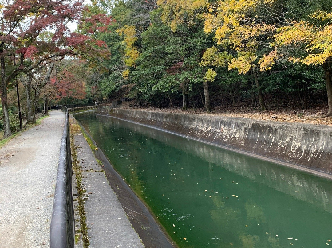 Yamashina Canal景点图片