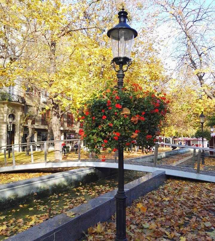 Hviezdoslavovo Namestie景点图片