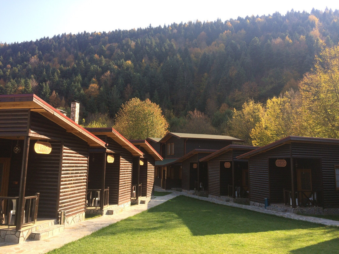 ABANT Bahceli Kosk主图