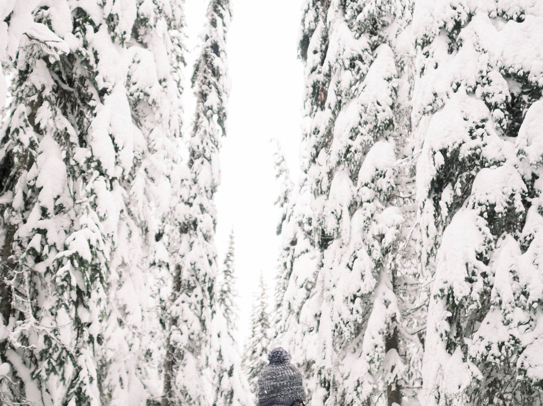 Sovereign Lake Nordic Club-弗农必去景点