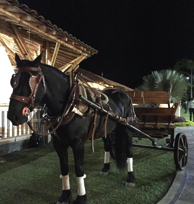 La Victoria Hotel Campestre主图