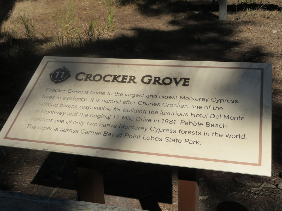 Crocker Grove-圆石滩必去景点