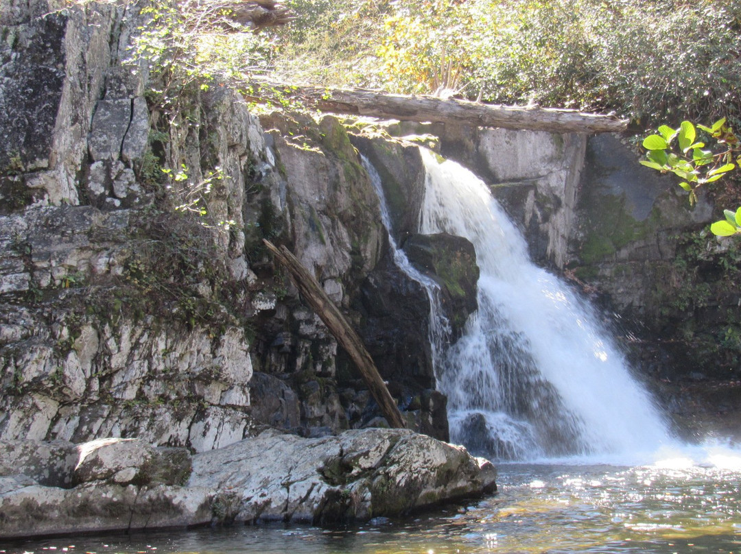 Abrams Falls Trail景点图片