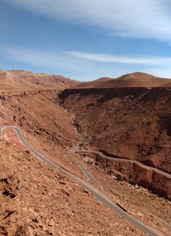 Marrakech Camel Trips-非斯必去景点