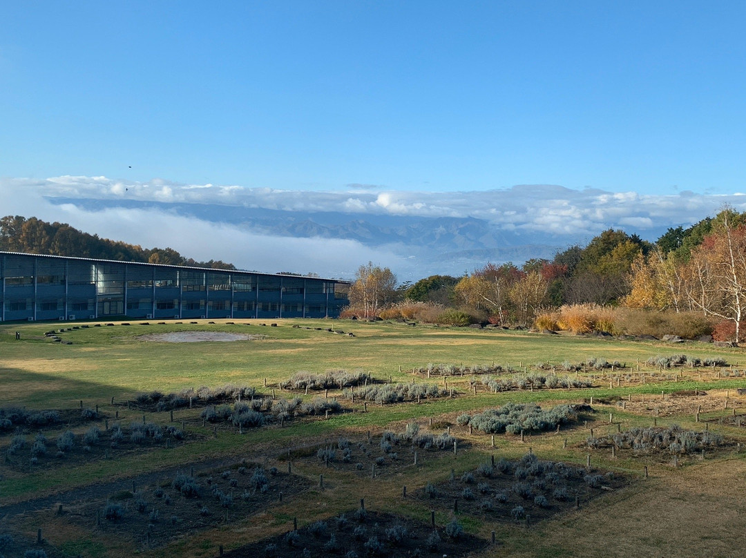 Ota-ku Kyuyomura Tobu主图