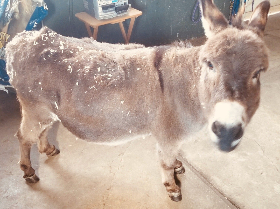 Candlelight Farms Inn主图