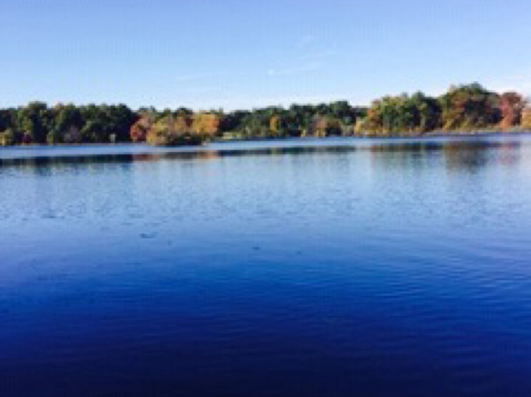 Island Lake State Recreation Area景点图片