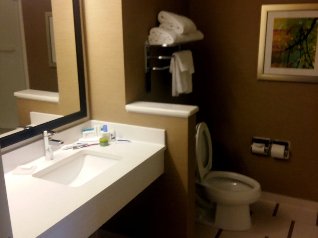 Comfort Inn & Suites Houma主图