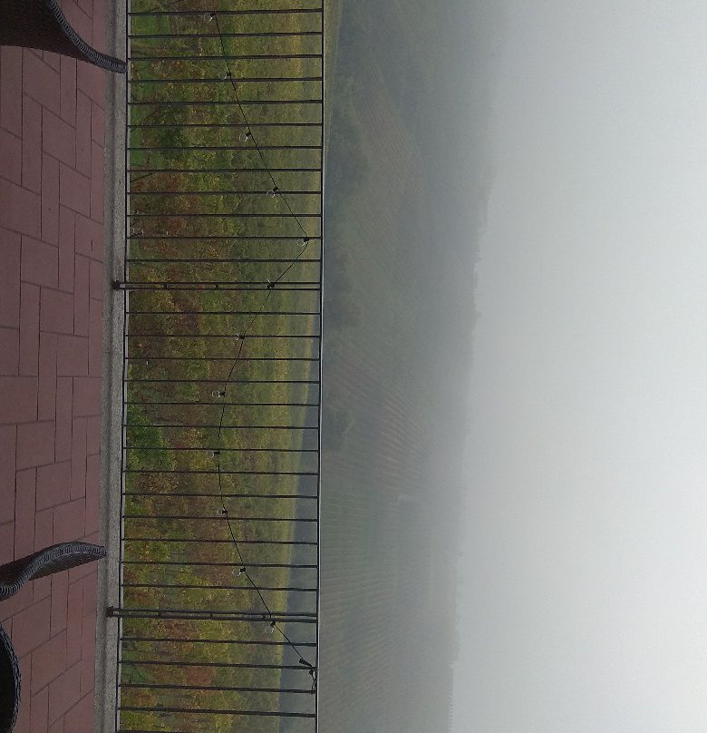 Azienda Agricola Lusenti景点图片