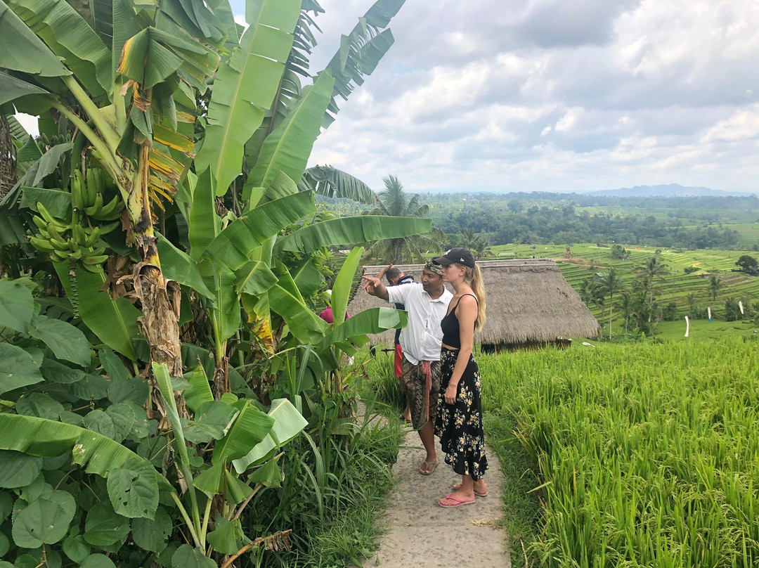 Riktiga Bali-苏卡瓦堤必去景点