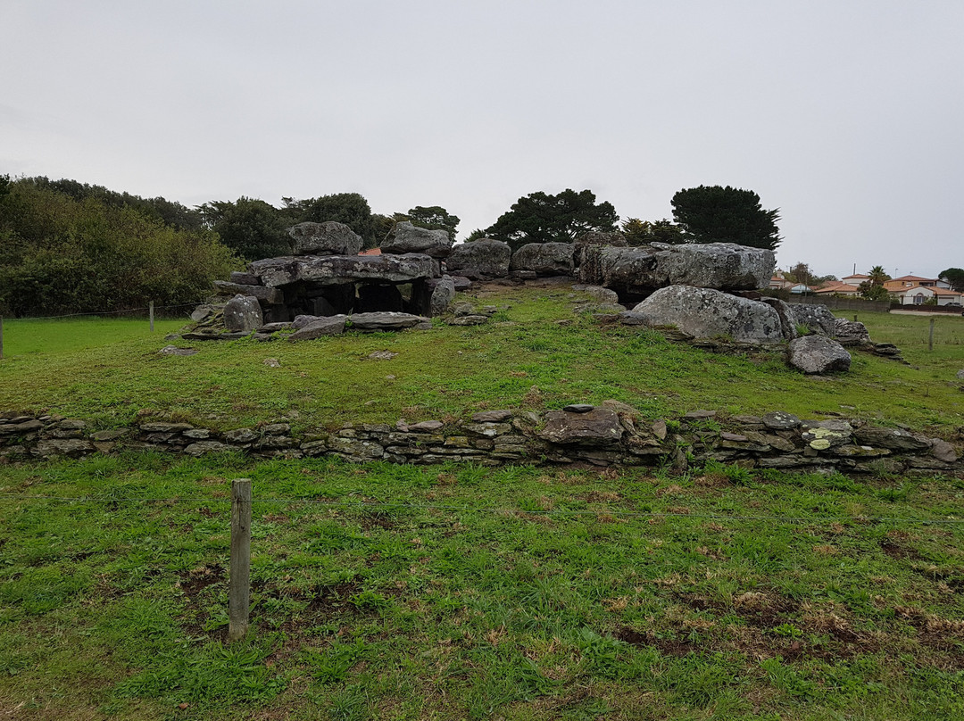 Dolmen de la Joseliere景点图片