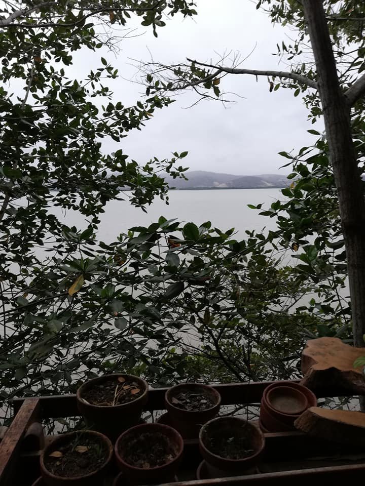 Saiananda-泳池