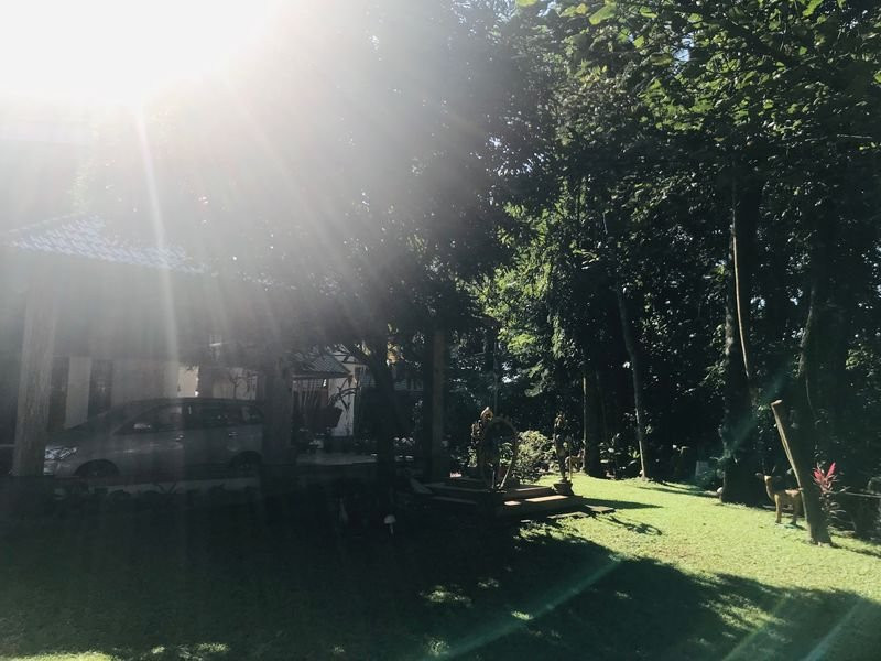 Chamundi Hill Palace Ayurvedic Resort主图