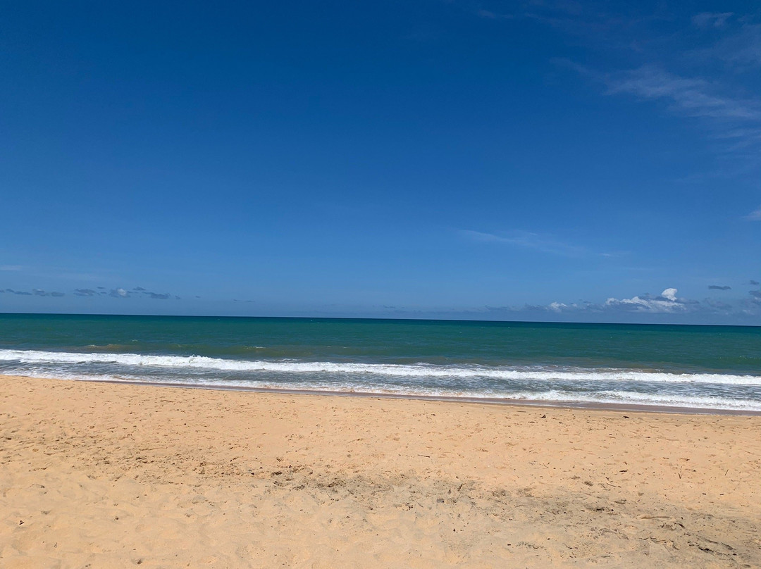 Tartarugas Beach景点图片