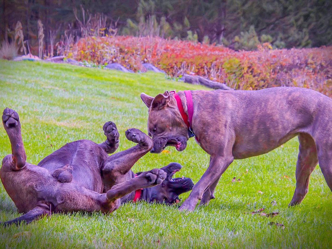 Inn At Wawanissee Point主图