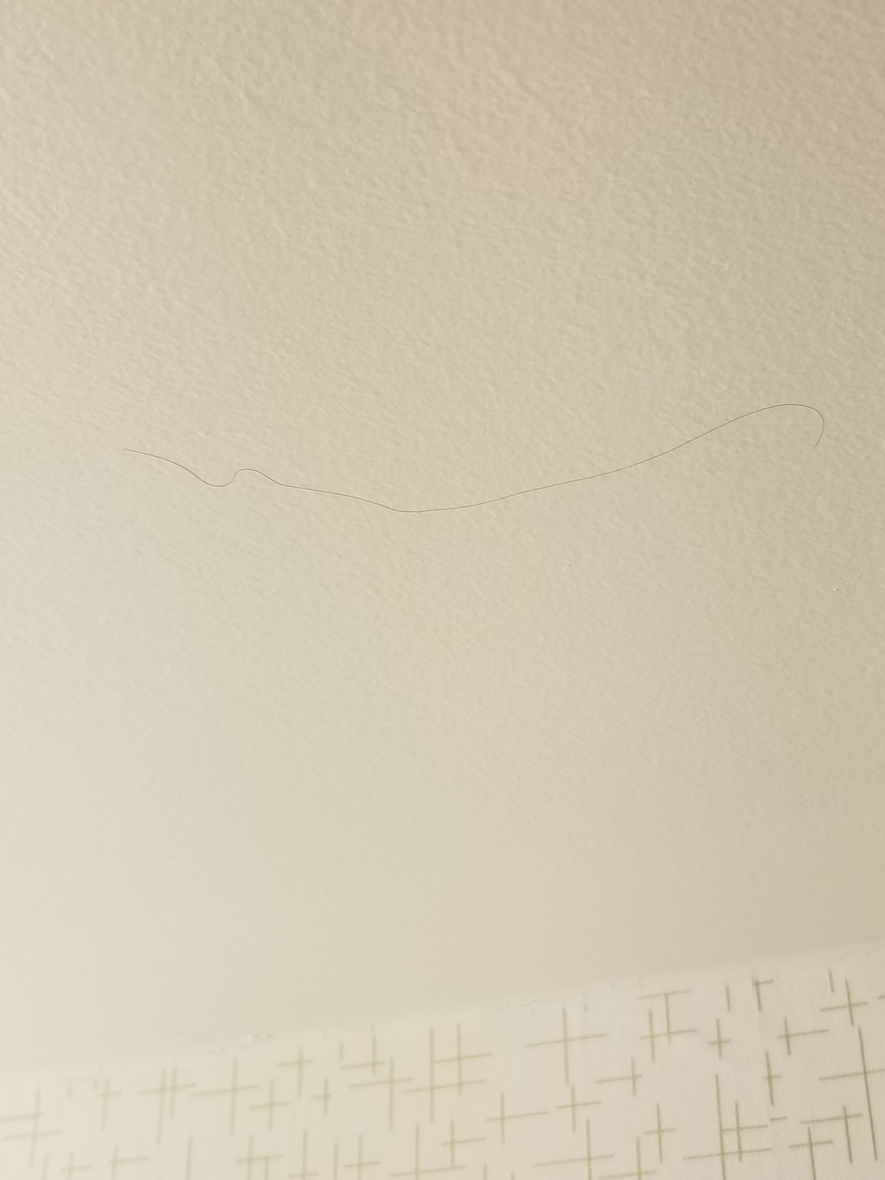 达勒姆希尔顿花园酒店（靠近杜克大学）-浴室