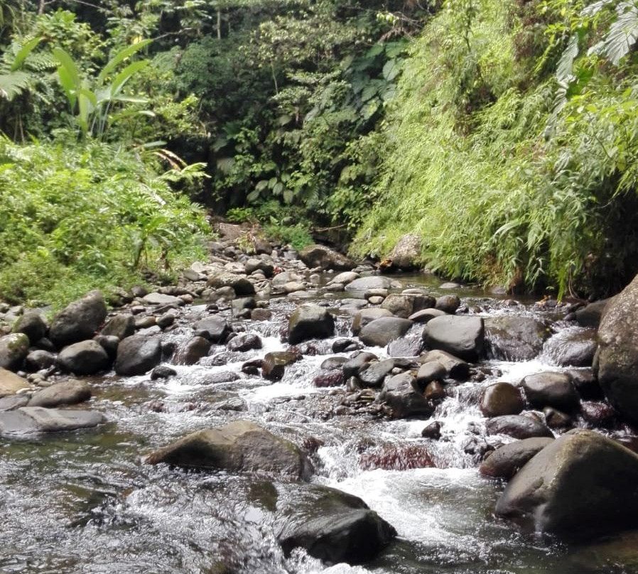 Trace des chutes Moreau-Goyave必去景点