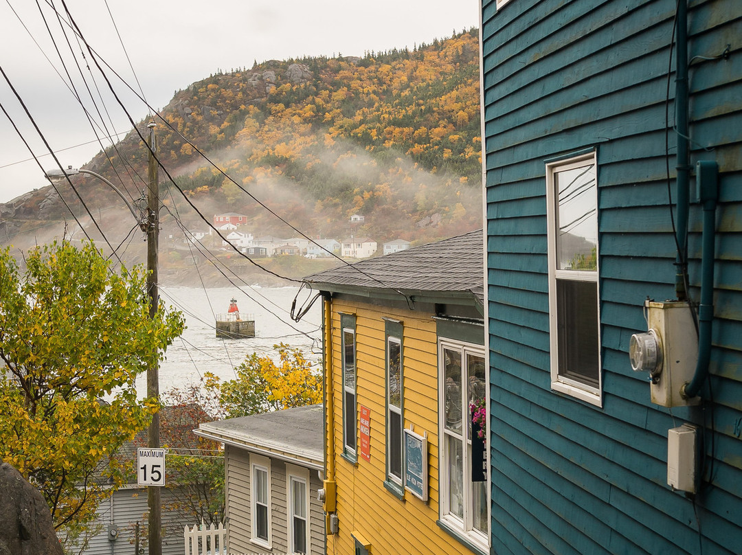 Just Landed Tours-圣约翰必去景点