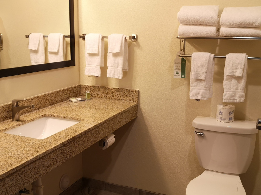 Cobblestone Hotel & Suites - Victor主图