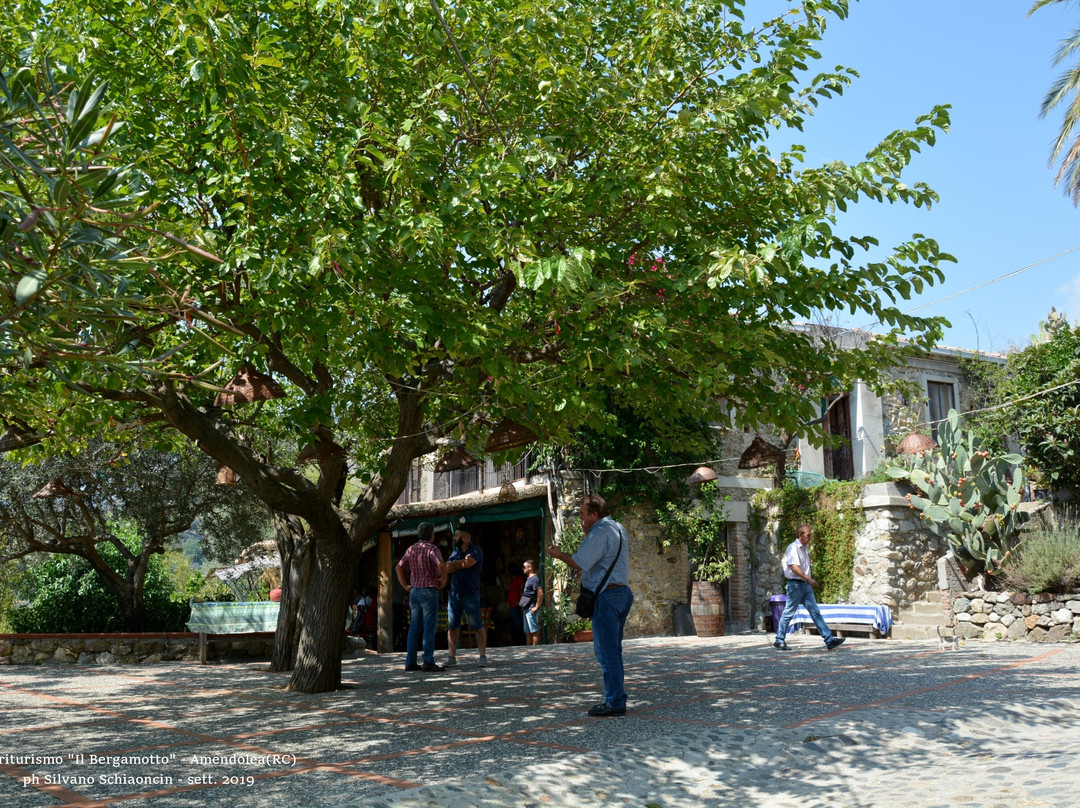 Agriturismo Il Bergamotto主图